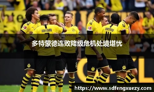乐球体育直播在线观看