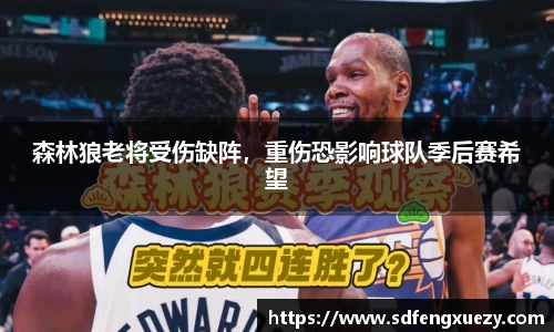 乐球体育直播在线观看