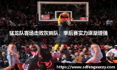 乐球体育直播