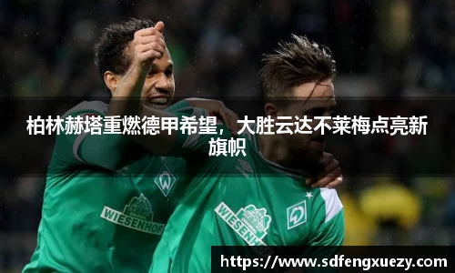 乐球体育