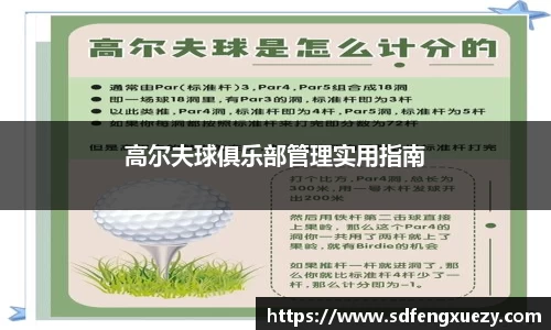 乐球体育直播在线观看