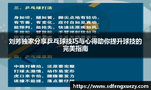 乐球体育