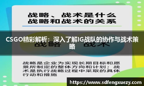 乐球直播体育