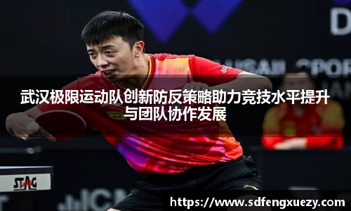乐球体育直播