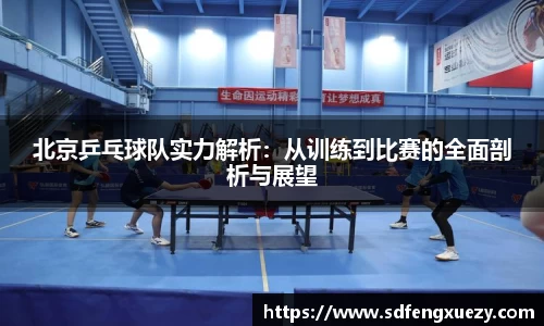 乐球体育直播在线观看
