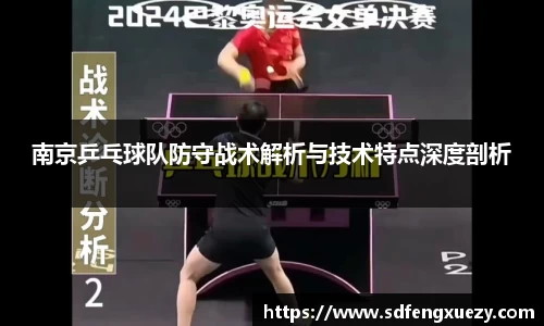 南京乒乓球队防守战术解析与技术特点深度剖析