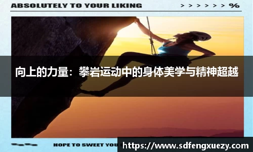 乐球体育直播