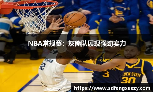 NBA常规赛：灰熊队展现强劲实力