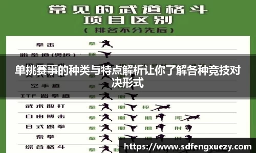单挑赛事的种类与特点解析让你了解各种竞技对决形式