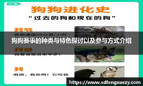 狗狗赛事的种类与特色探讨以及参与方式介绍