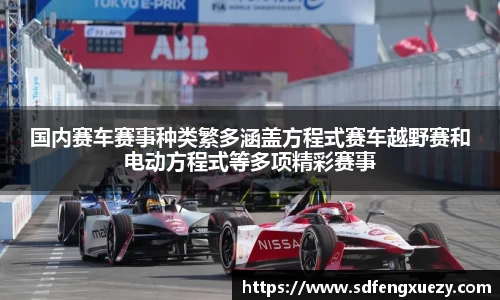 国内赛车赛事种类繁多涵盖方程式赛车越野赛和电动方程式等多项精彩赛事