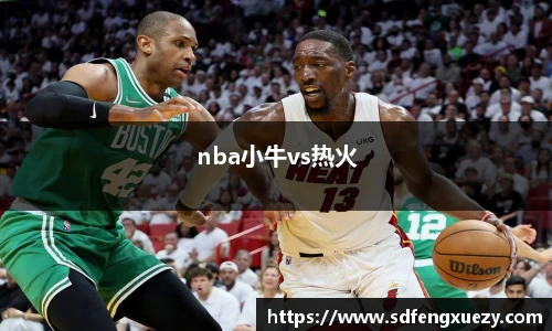 nba小牛vs热火
