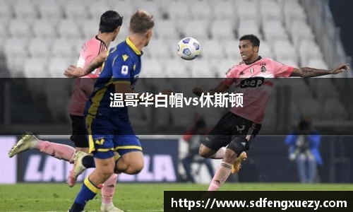 温哥华白帽vs休斯顿