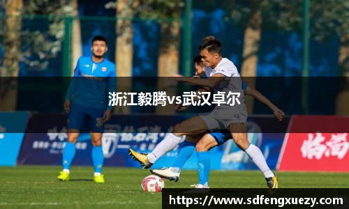 浙江毅腾vs武汉卓尔