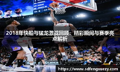 乐球体育直播