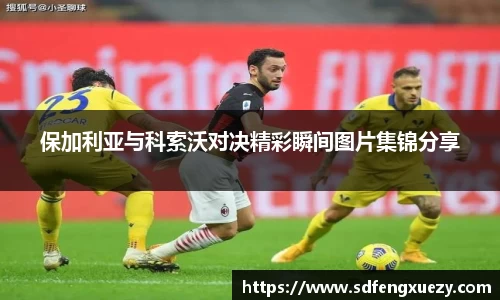 乐球体育