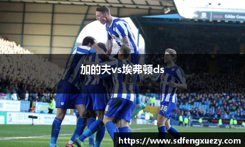 加的夫vs埃弗顿ds
