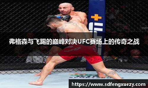 弗格森与飞踢的巅峰对决UFC赛场上的传奇之战