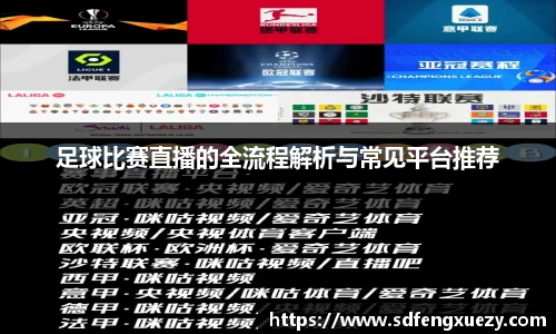 足球比赛直播的全流程解析与常见平台推荐
