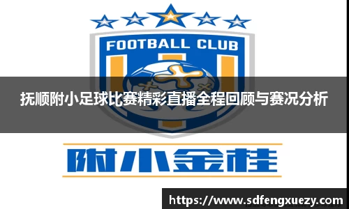 抚顺附小足球比赛精彩直播全程回顾与赛况分析
