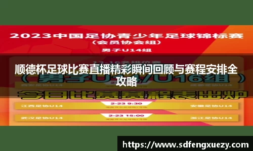 乐球体育直播