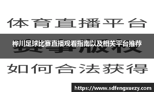 桦川足球比赛直播观看指南以及相关平台推荐