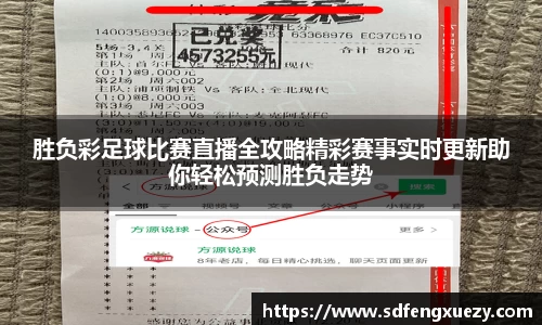 乐球体育直播
