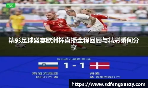 精彩足球盛宴欧洲杯直播全程回顾与精彩瞬间分享