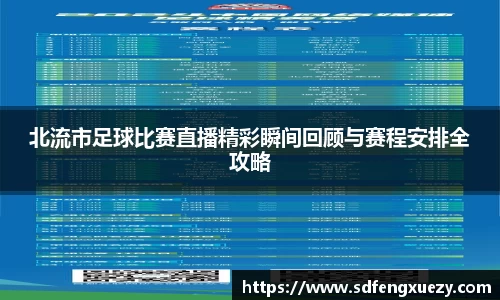 北流市足球比赛直播精彩瞬间回顾与赛程安排全攻略