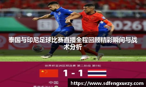 泰国与印尼足球比赛直播全程回顾精彩瞬间与战术分析