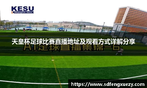 天皇杯足球比赛直播地址及观看方式详解分享
