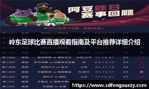 岭东足球比赛直播观看指南及平台推荐详细介绍