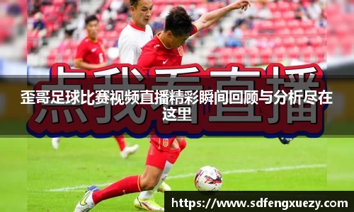 乐球体育直播在线观看
