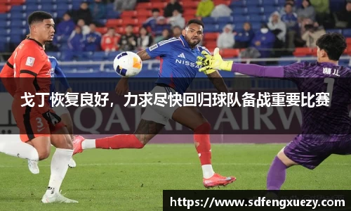 戈丁恢复良好，力求尽快回归球队备战重要比赛
