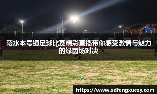 乐球体育直播