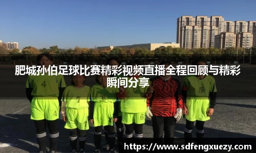 乐球体育直播