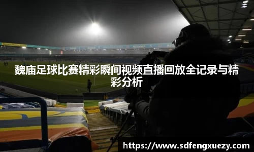 乐球体育直播