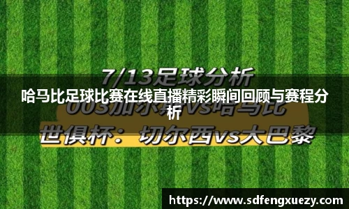 乐球体育直播