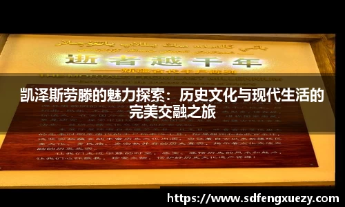 凯泽斯劳滕的魅力探索：历史文化与现代生活的完美交融之旅