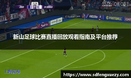 新山足球比赛直播回放观看指南及平台推荐