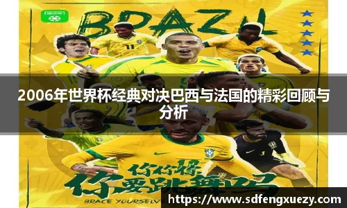 2006年世界杯经典对决巴西与法国的精彩回顾与分析