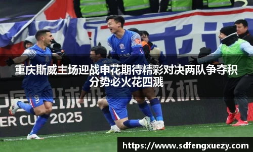 重庆斯威主场迎战申花期待精彩对决两队争夺积分势必火花四溅