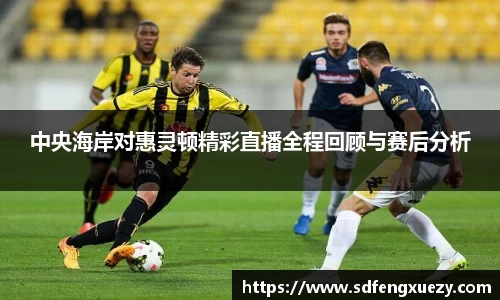 中央海岸对惠灵顿精彩直播全程回顾与赛后分析