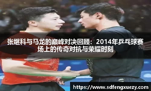 张继科与马龙的巅峰对决回顾：2014年乒乓球赛场上的传奇对抗与荣耀时刻