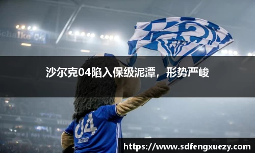 沙尔克04陷入保级泥潭，形势严峻