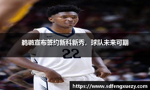 乐球体育直播在线观看